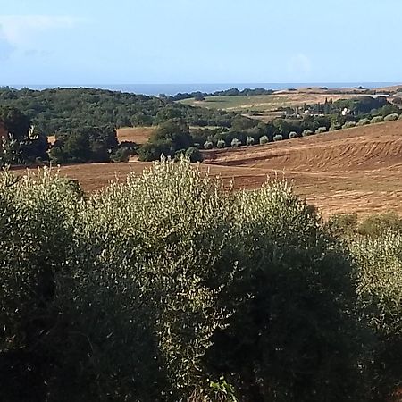 Agriturismo le colline di Capalbio Esterno foto