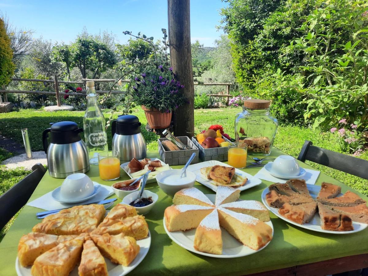 Agriturismo le colline di Capalbio Esterno foto