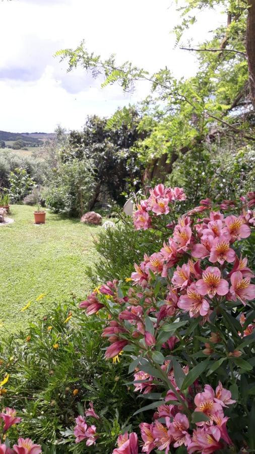 Agriturismo le colline di Capalbio Esterno foto