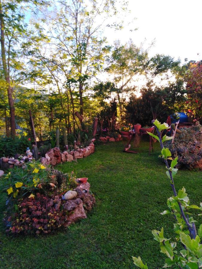 Agriturismo le colline di Capalbio Esterno foto